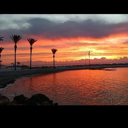 Spacious Studio, Terrace, Pool, Elevator, Beaches 아파트 또레비에하